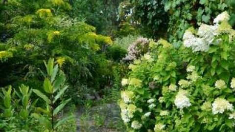 Calipre Designs - Calipre-Designs5.jpg