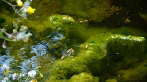 Calipre Designs - Calipre-Designs6.jpg