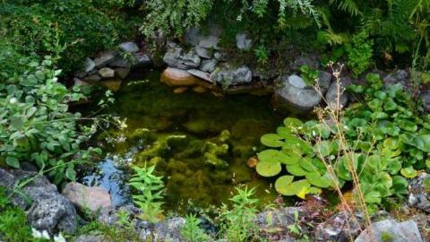 Calipre Designs - Calipre-Designs16.jpg