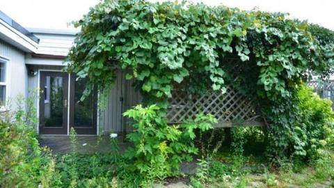 Calipre Designs - Calipre-Designs7.jpg