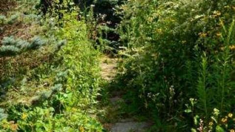 Calipre Designs - Calipre-Designs18.jpg