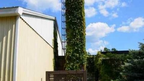 Calipre Designs - Calipre-Designs13.jpg