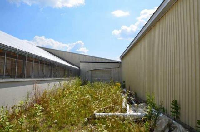 Calipre Designs photo 3