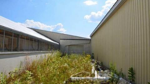 Calipre Designs - Calipre-Designs23.jpg