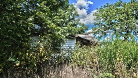 August 2013 - DSC_0590.jpg