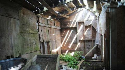 August 2013 - DSC_0592.jpg