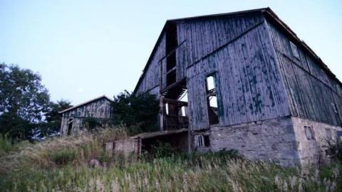 5th Line Beauty - North-Oakville-farm140.jpg