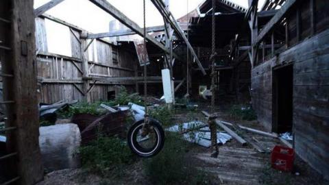 5th Line Beauty - North-Oakville-farm142.jpg