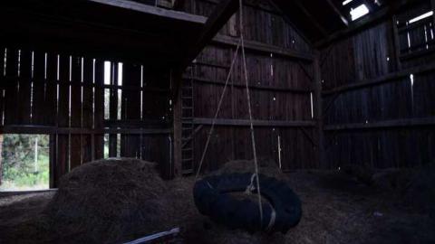 5th Line Beauty - North-Oakville-farm143.jpg