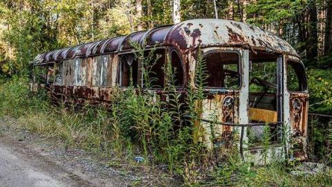 The Bus to Burwash photo 5