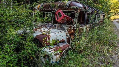 The Bus to Burwash photo 4