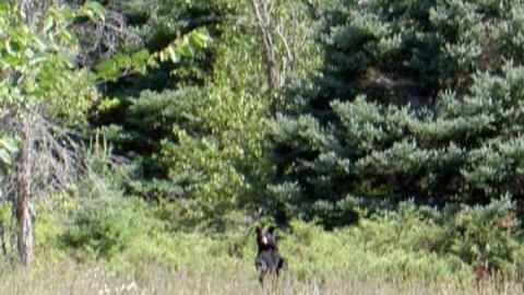 Horncastle Exists Once More - Clays! 004(1).jpg