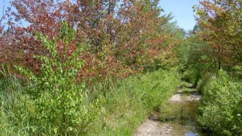 Horncastle Exists Once More - Clays! 005.jpg