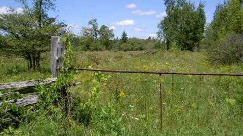 Horncastle Exists Once More - Clays! 007.jpg