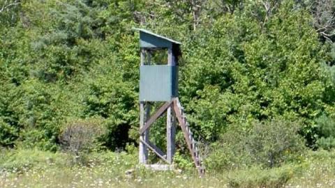 Horncastle Exists Once More - Clays! 010.jpg