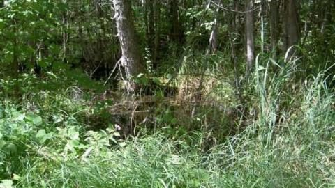 Horncastle Exists Once More - Clays! 011.jpg