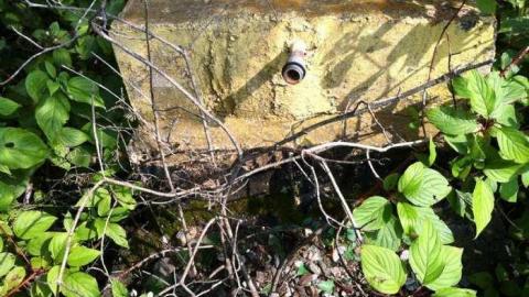 Park - William-Teddy-Trailer-Park2.jpg