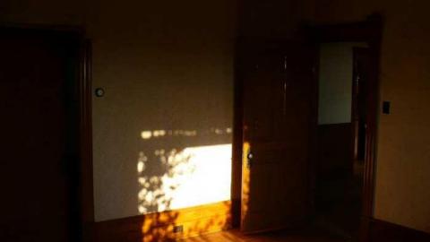 Top of the hill - Mountain-Maple90.jpg