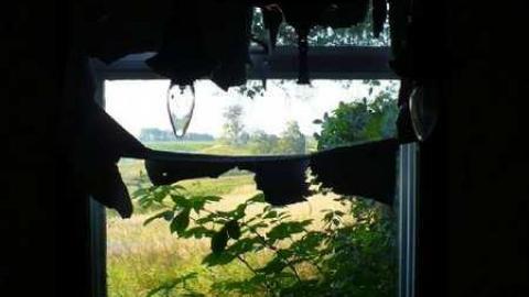 Photo from Top of the hill