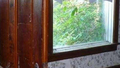 Top of the hill - Mountain-Maple81.jpg