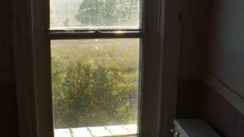 Top of the hill - Mountain-Maple97.jpg