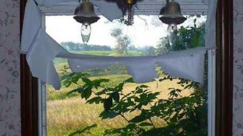 Top of the hill - Mountain-Maple101.jpg