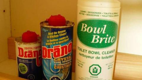 Top of the hill - Mountain-Maple103.jpg