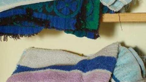 Top of the hill - Mountain-Maple127.jpg