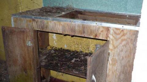 Down Whit - Down-Whitchurch3.jpg