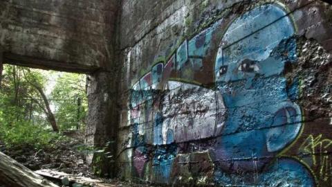 Dam mosquitoes - Erindale-Hydro-Tunnel22.jpg