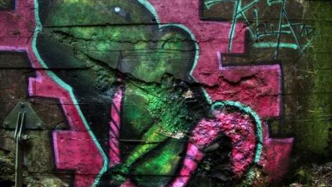 Dam mosquitoes - Erindale-Hydro-Tunnel23.jpg