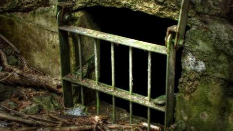 Erindale Hydro Tunnel photo 4