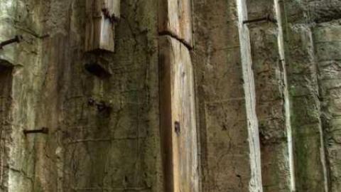 Dam mosquitoes - Erindale-Hydro-Tunnel25.jpg