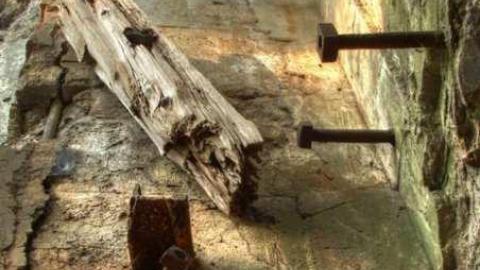 Dam mosquitoes - Erindale-Hydro-Tunnel27.jpg