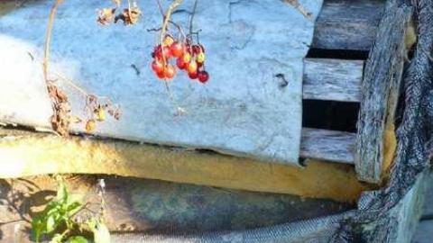 Stoned House - P1130498.jpg