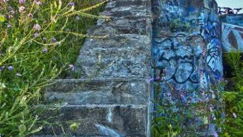 Bring bug spray! - Old-Canal-Remains10.jpg