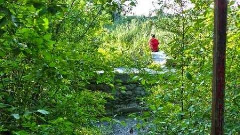 Bring bug spray! - Old-Canal-Remains6.jpg