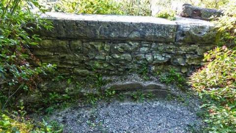 Bring bug spray! - Old-Canal-Remains17.jpg