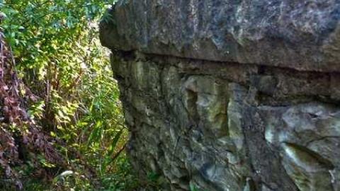 Bring bug spray! - Old-Canal-Remains18.jpg