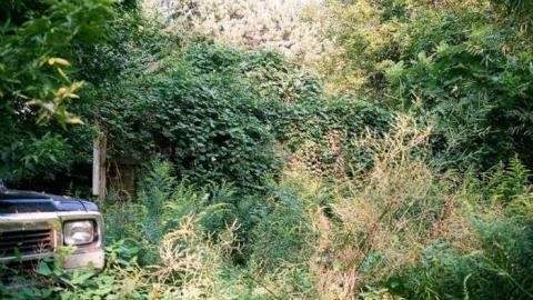 19/8/2013 - 28480019.jpg