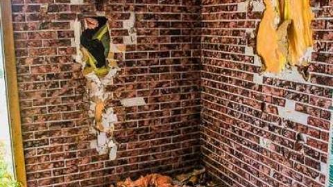 Wall Punchers - Beeton-is-Trashed-Big-Time63.jpg