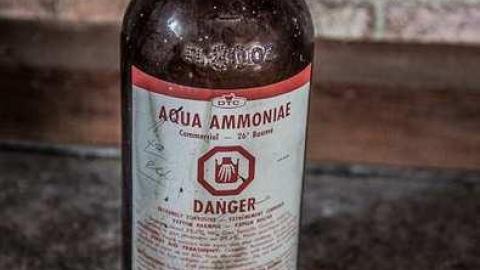 Photo from Nothing Changed