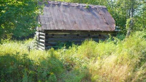 Come see come saw - Saw-Lake-Saw-Mill42.jpg