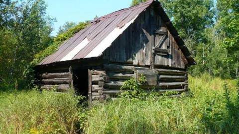 Come see come saw - Saw-Lake-Saw-Mill46.jpg