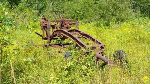 Come see come saw - Saw-Lake-Saw-Mill65.jpg