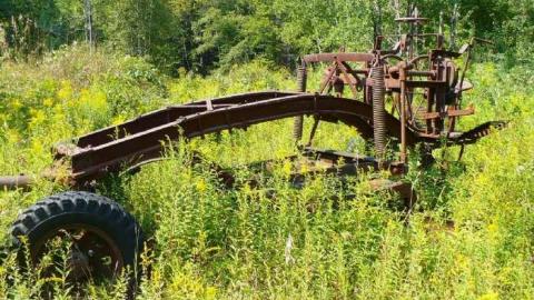 Come see come saw - Saw-Lake-Saw-Mill47.jpg