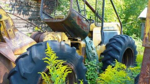 Come see come saw - Saw-Lake-Saw-Mill71.jpg