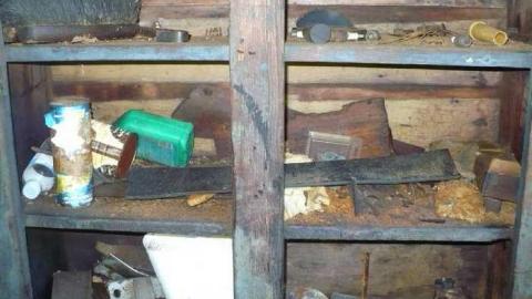 Come see come saw - Saw-Lake-Saw-Mill52.jpg