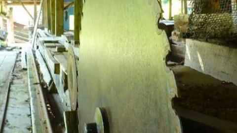 Come see come saw - Saw-Lake-Saw-Mill53.jpg