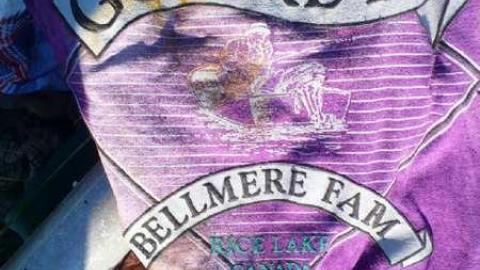 Stone Cold Blezard - P1130800.jpg